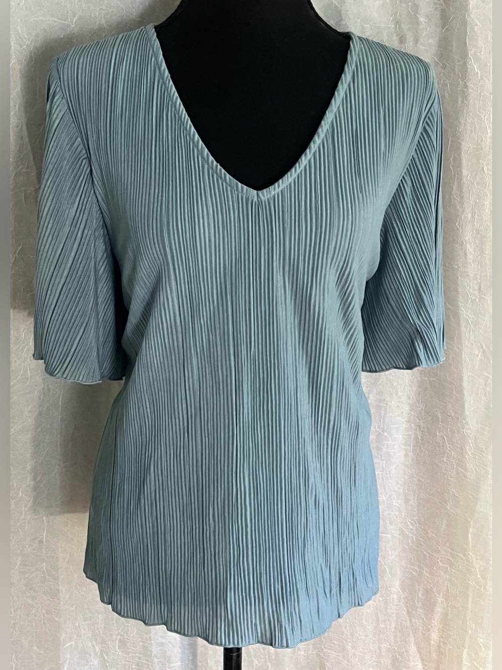 Ann Taylor Blue V-Neck Pleated Women’s Top